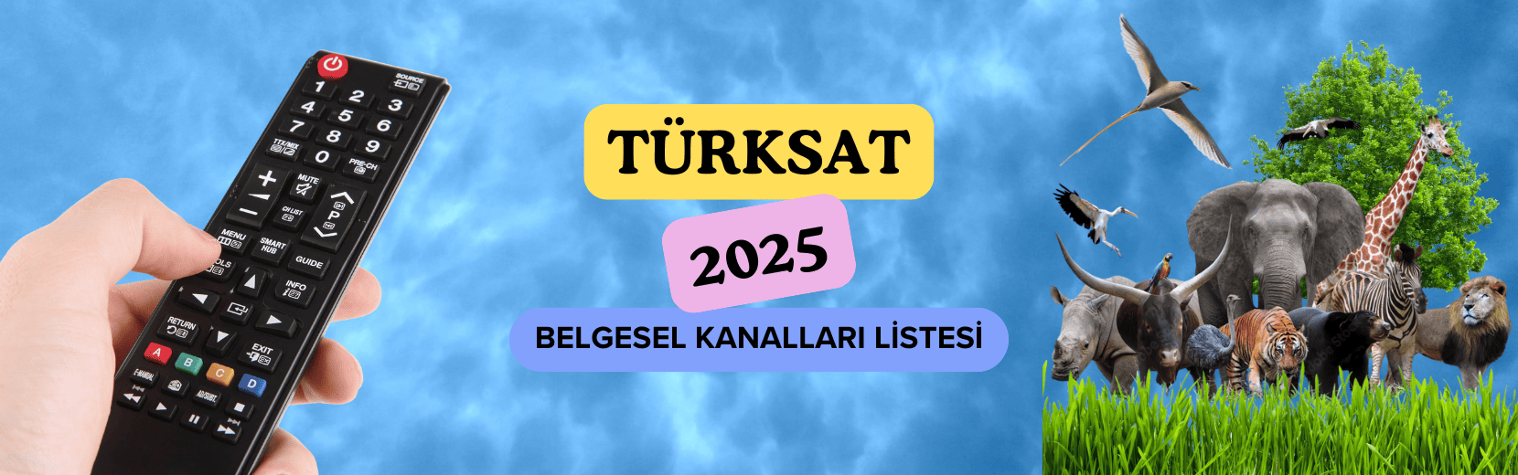 Türksat 4A Belgesel Kanalları Listesi (2025 Güncel)